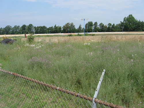 Hartford Speedway Park - Summer 2013 (newer photo)
